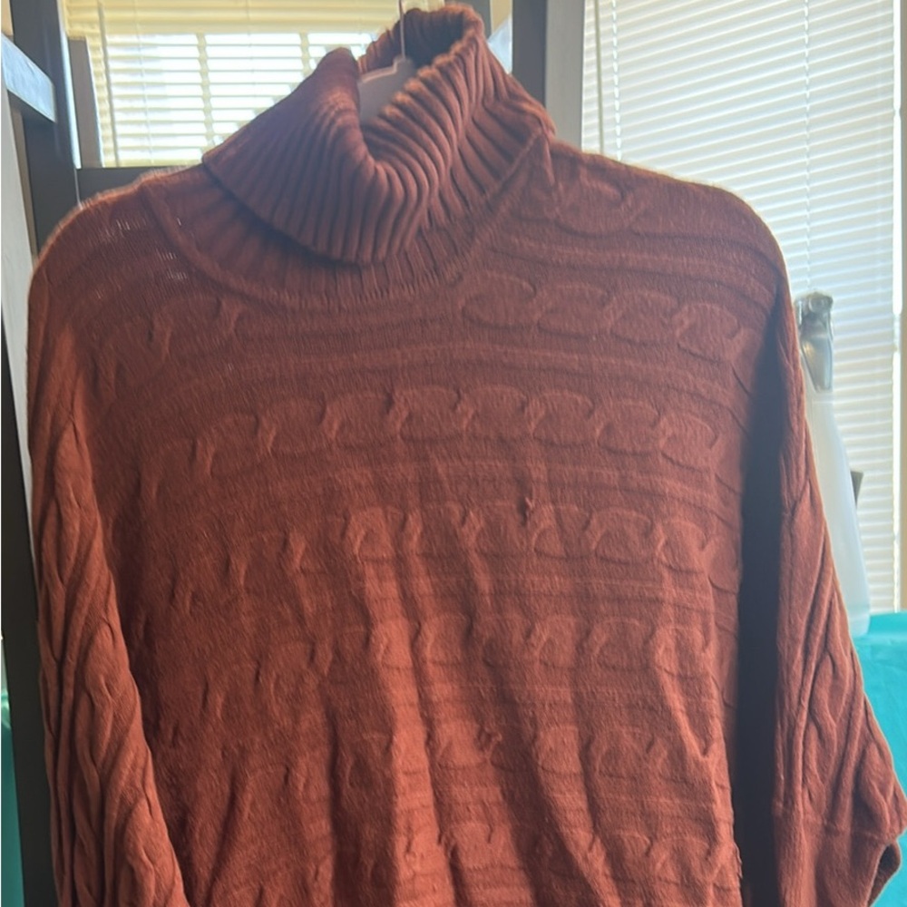 Rust Turtleneck Sweater